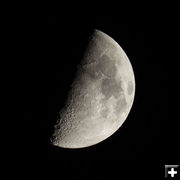 1st Quarter Moon. Photo by Dave Bell.