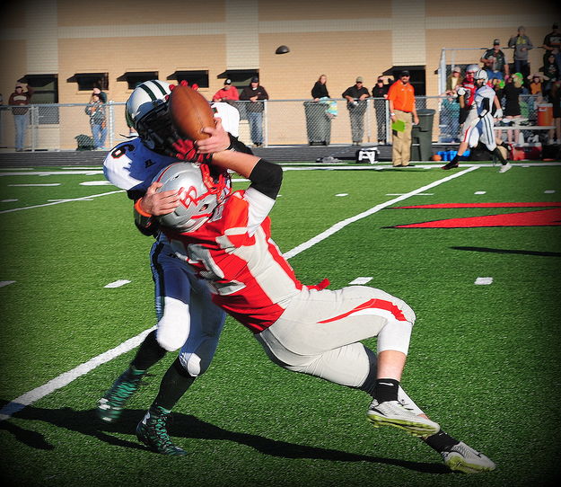 Fight for Ball. Photo by Terry Allen.