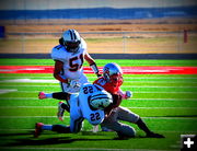 Tackle - Criddle. Photo by Terry Allen.