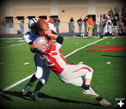 Fight for Ball. Photo by Terry Allen.