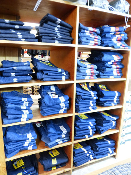 Blue jeans. Photo by Dawn Ballou, Pinedale Online.