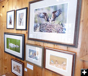 Betty Boehm photo exhibit. Photo by Dawn Ballou, Pinedale Online.