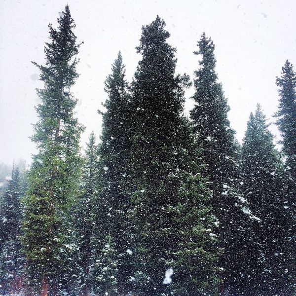 Snowing. Photo by White Pine Resort.