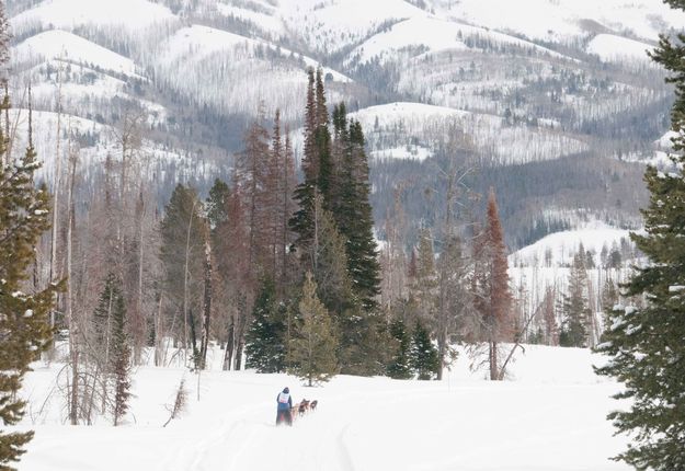 Big Piney/Marbleton Stage. Photo by EUKANUBA Stage Stop Race.