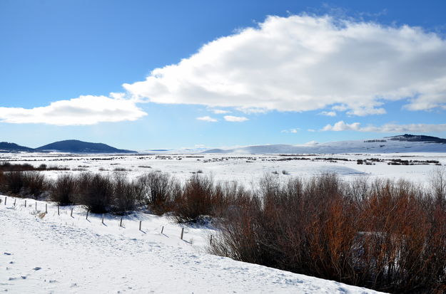 Leaving Sled Dog Country. Photo by Terry Allen.