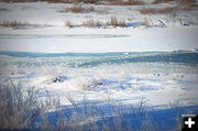 The Frozen Green. Photo by Terry Allen.