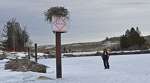 Mark and the Osprey Nest. Photo by Terry Allen.