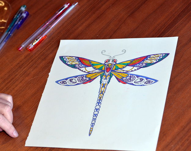 Intricate Dragonfly by Rachel . Photo by Terry Allen.