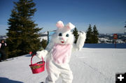 Easter Bunny. Photo by White Pine Resort.