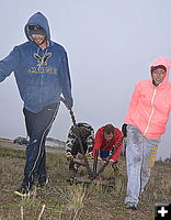 Sled Pull and Push. Photo by Terry Allen.