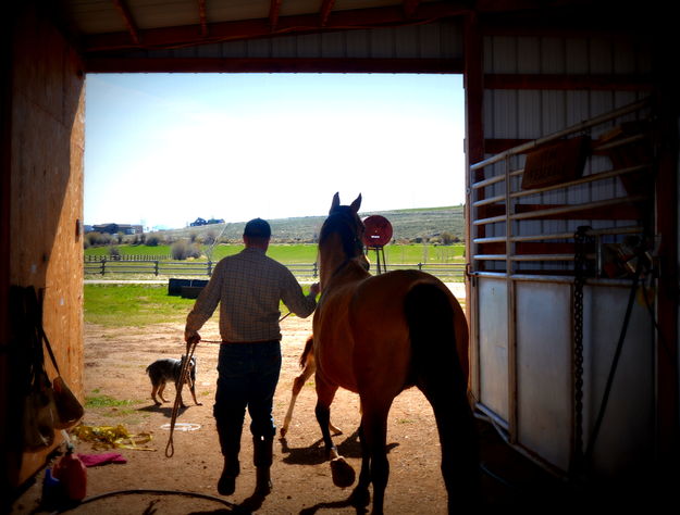 Leaving the Barn. Photo by Terry Allen.