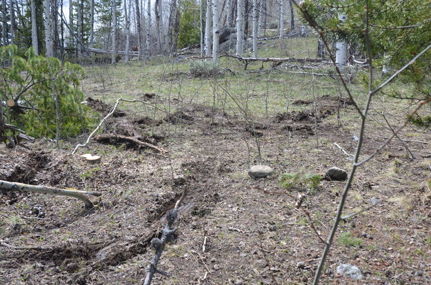 Pull Out Marks in Mud. Photo by Terry Allen, Pinedale Online!.