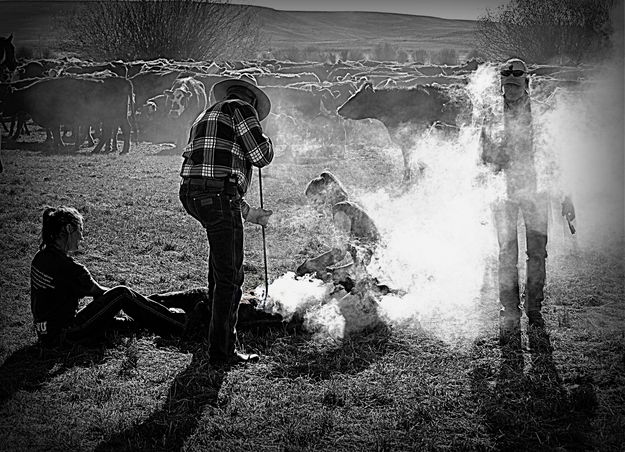 Branding Smoke. Photo by Terry Allen.