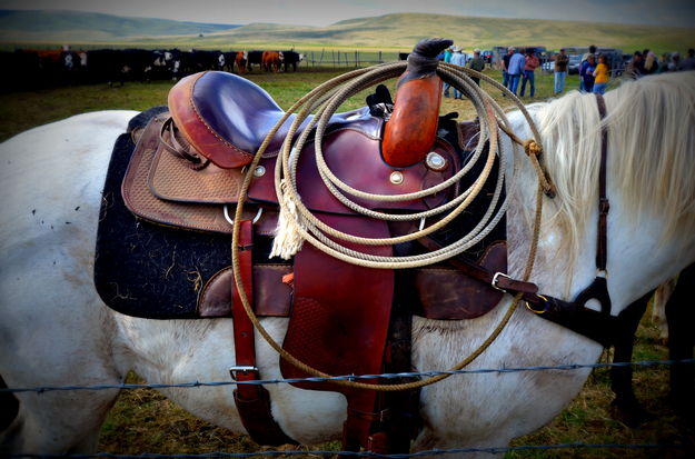 A Working Saddle. Photo by Terry Allen.