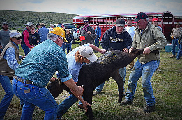 5 Against 1 Wins. Photo by Terry Allen.