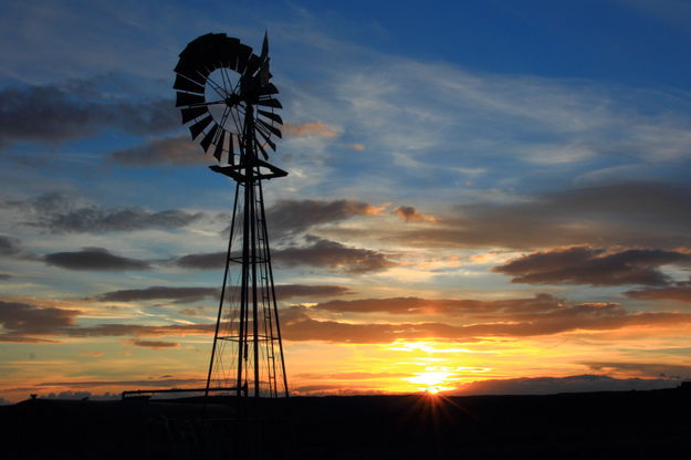 Soda Lake Windmill. Photo by Fred Pflughoft.