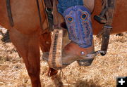 Working Boots. Photo by Terry Allen.