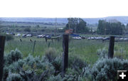 Watching from the rodeo grounds. Photo by Dawn Ballou, Pinedale Online.