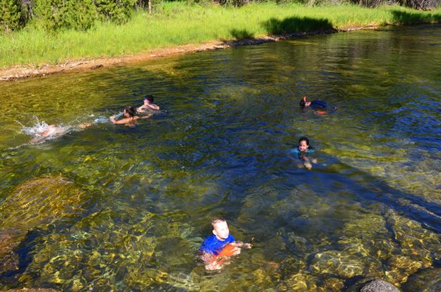 Diving for Bullheads. Photo by Terry Allen.