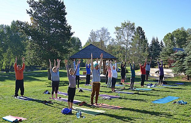 Yoga in the Park. Photo by Terry Allen.