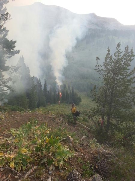 Idaho City Hotshots. Photo by Bridger-Teton National Forest.