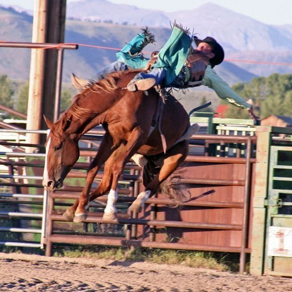 Rendezvous Rodeo. Photo by Pinedale Online.