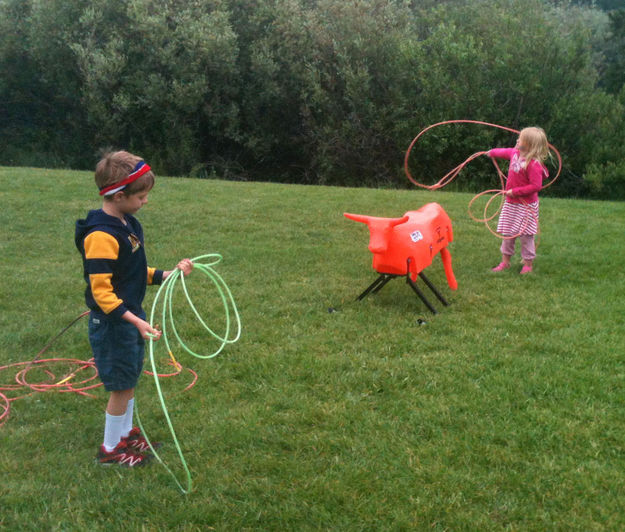 Roping. Photo by Dawn Ballou, Pinedale Online.