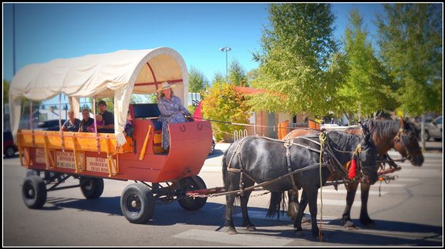 Kay and her Cart. Photo by Terry Allen.