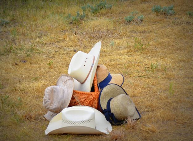 A Place for Hats. Photo by Terry Allen.