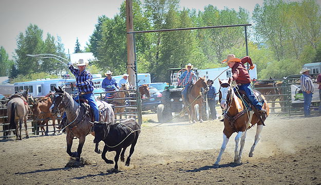 Head and Heel. Photo by Terry Allen.