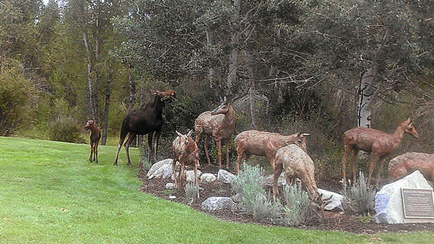 Moose and Pronghorn. Photo by The Log Cabin Motel.