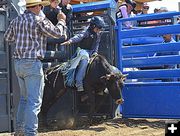 Steer Rider. Photo by Terry Allen.