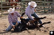 Roped and Tied. Photo by Terry Allen.