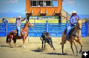 Head and Heel. Photo by Terry Allen.