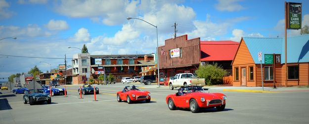 A Slither of Cobra's. Photo by Terry Allen.