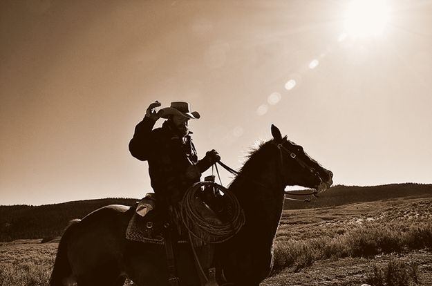 Hail From a Cowboy. Photo by Terry Allen.