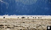 Gathering. Photo by Terry Allen.