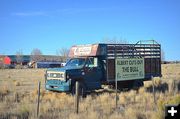 Albert's Re-election Stock Truck. Photo by Terry Allen.