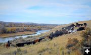 Pushing Along the New Fork River. Photo by Terry Allen.