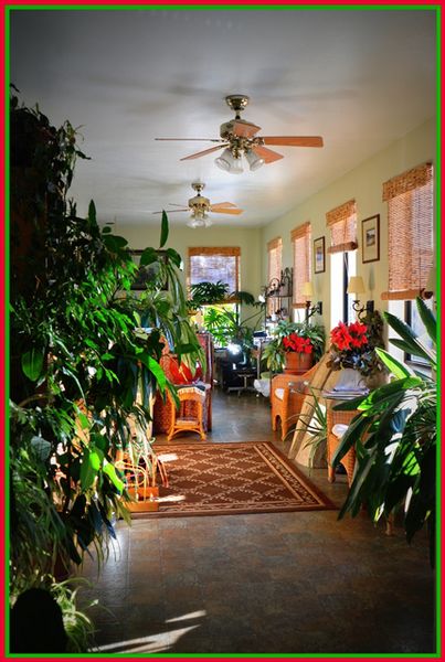 The Hair Outfitter Green Solarium. Photo by Terry Allen.