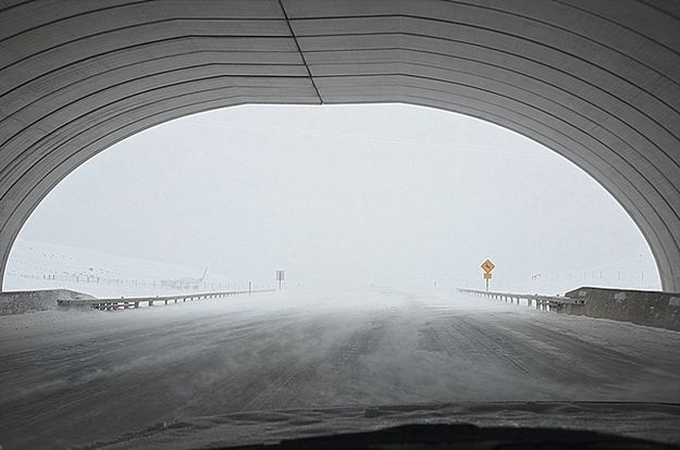 Path of the Pronghorn Overpass in Cora. Photo by Terry Allen.