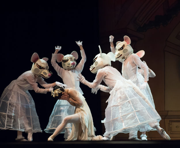 Mice attacking Clara. Photo by Arnold Brokling.