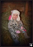 Last Year's Baby Jesus. Photo by Terry Allen.