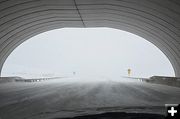 Path of the Pronghorn Overpass in Cora. Photo by Terry Allen.