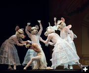 Mice attacking Clara. Photo by Arnold Brokling.