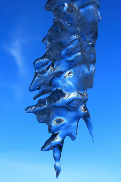 Blue icicle. Photo by Fred Pflughoft.