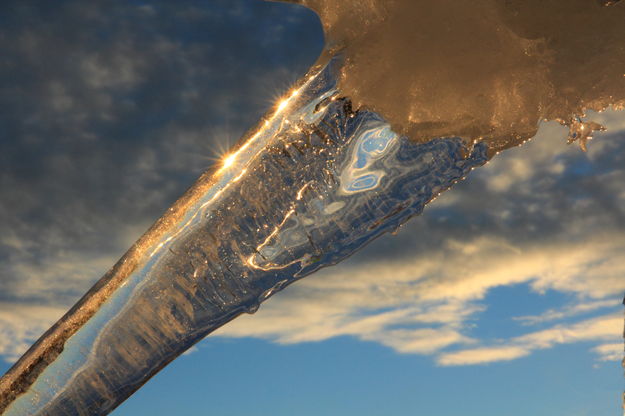 Icicle spear. Photo by Fred Pflughoft.