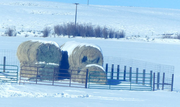 Hay stack yard. Photo by Dawn Ballou, Pinedale Online.