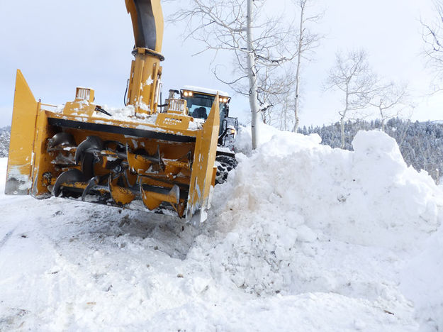 Stuck Snowblower. Photo by Wink.