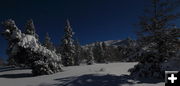 Full Moon X-C Skiing. Photo by Fred Pflughoft.